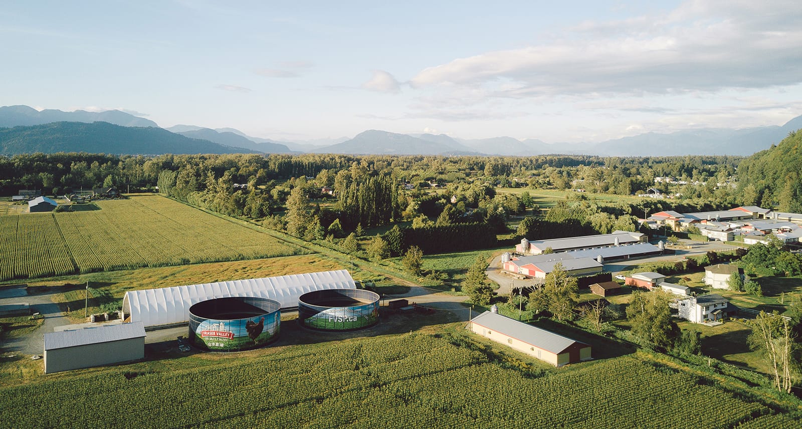 Aerial view of the Fraser Valley Specialty Poultry farm
